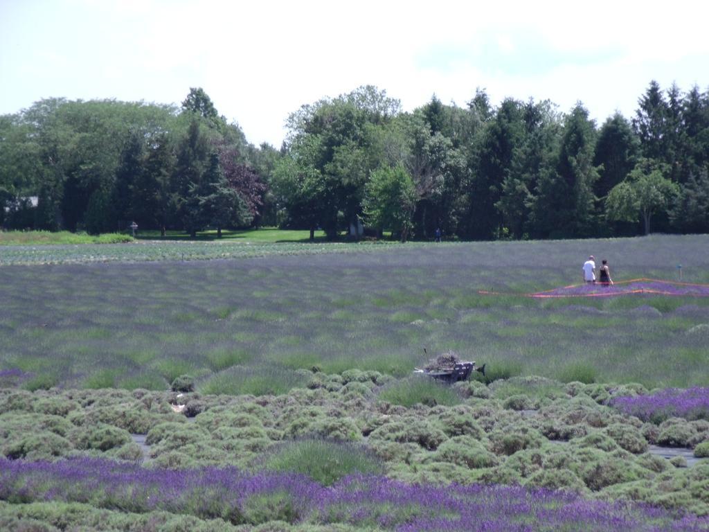 The Blue Inn At North Fork East Marion Exteriör bild
